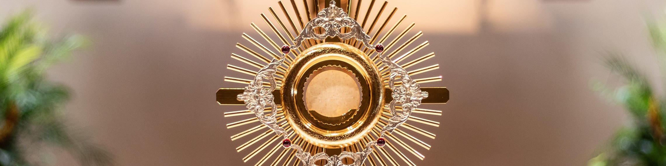 2020 09 28 Covid Adoration 05