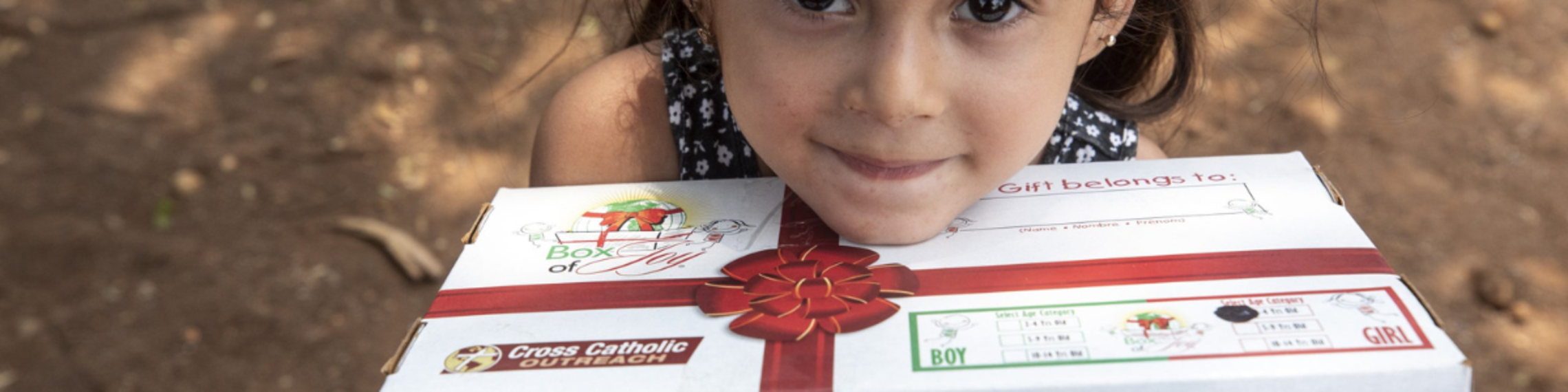Box Of Joy Banner