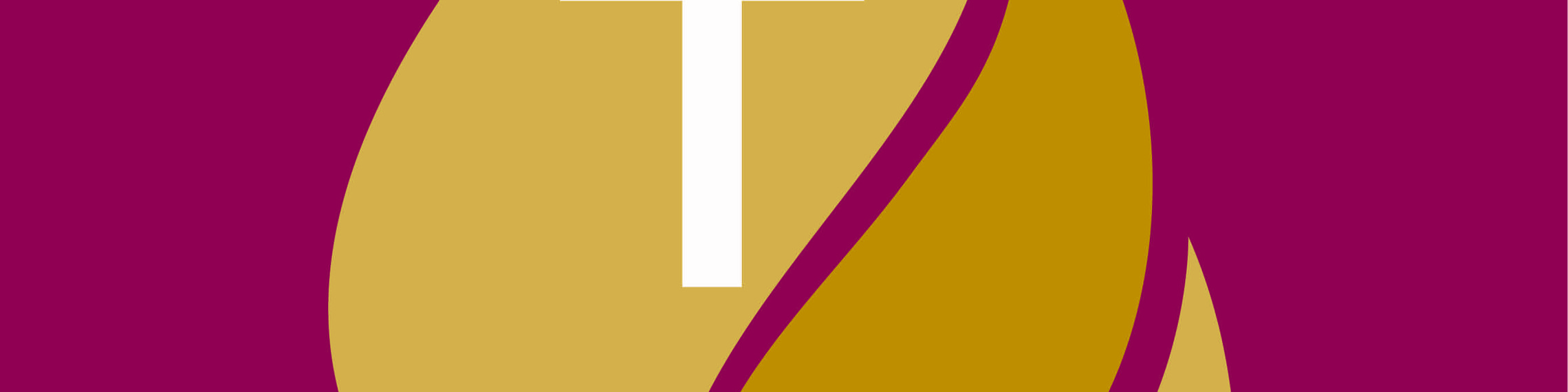 Holy Name Of Jesus Catholic Community Wayzata Mn Holy Name Festival 2022