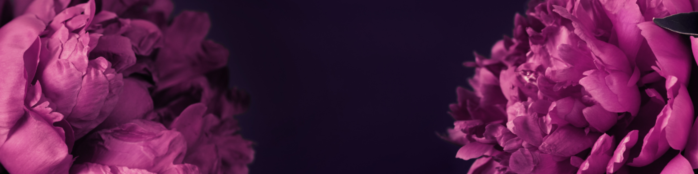 Womens Night Banner